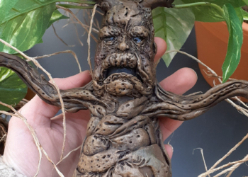 Mandragore